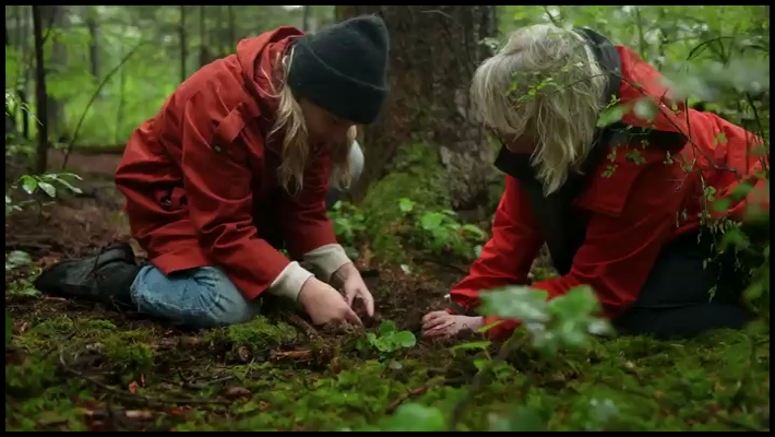 [Image: 8c25gvga9rbi.png]