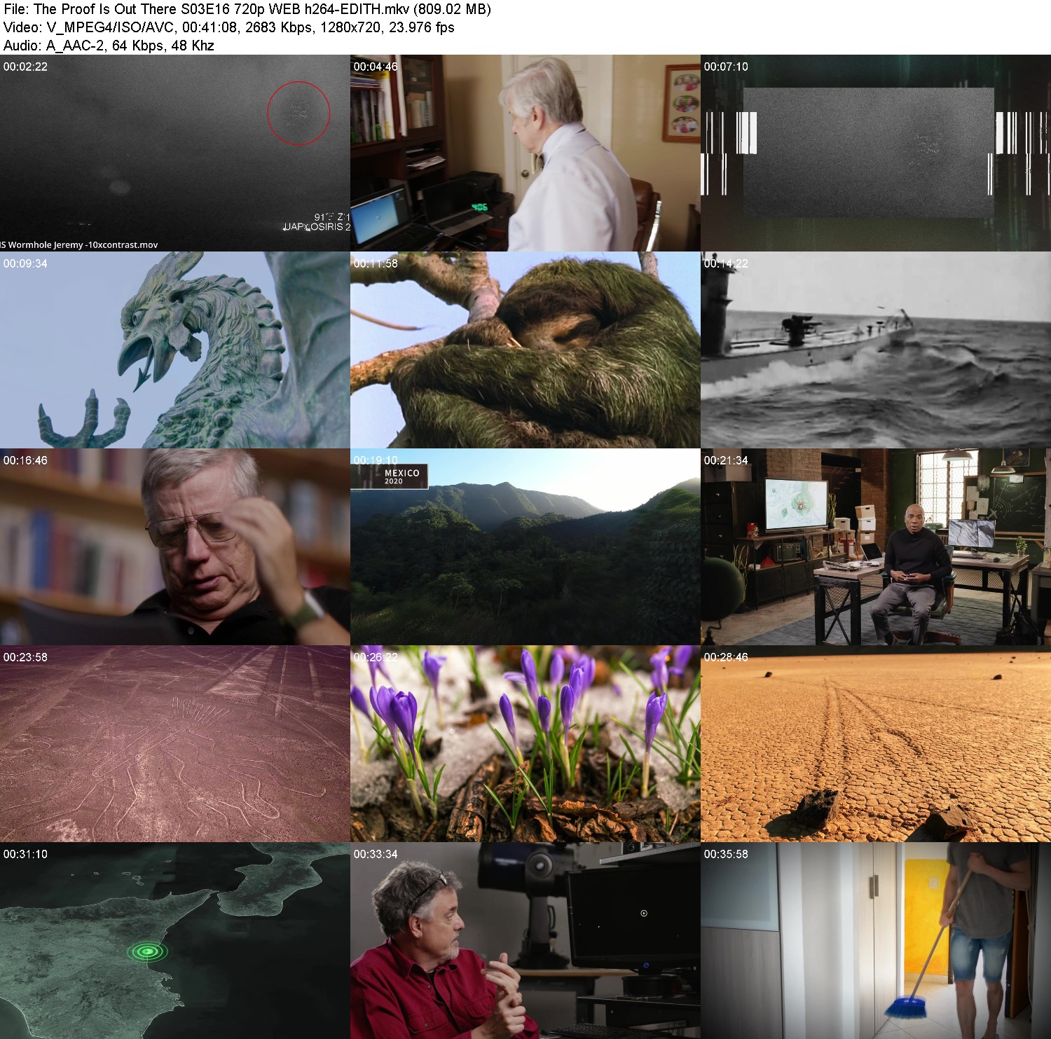 [Image: ydvqia6m81z7.jpg]