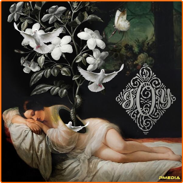 [Image: nt37sf8ns5ai.png]