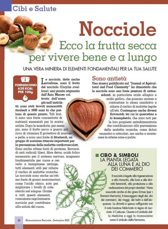 Alim Nat Set 2023 (5)