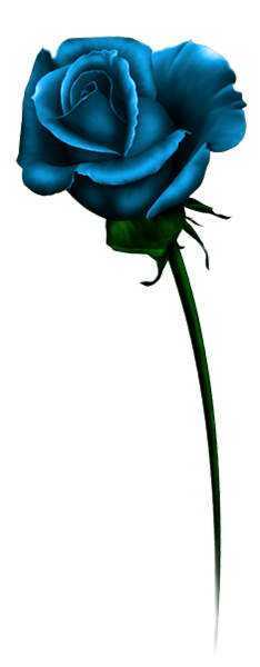 TADD_BlueLove_elements (105)