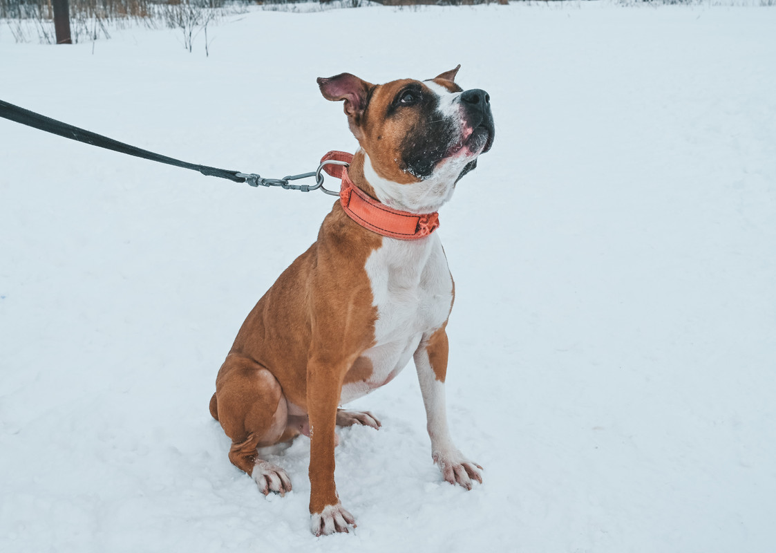 F5DE4654-9FC9-4979-B759-959ADA8E618F