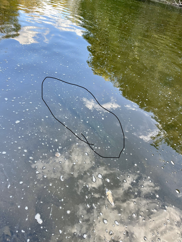 722A974E-3F82-4E01-9017-E87D99C0EFBA