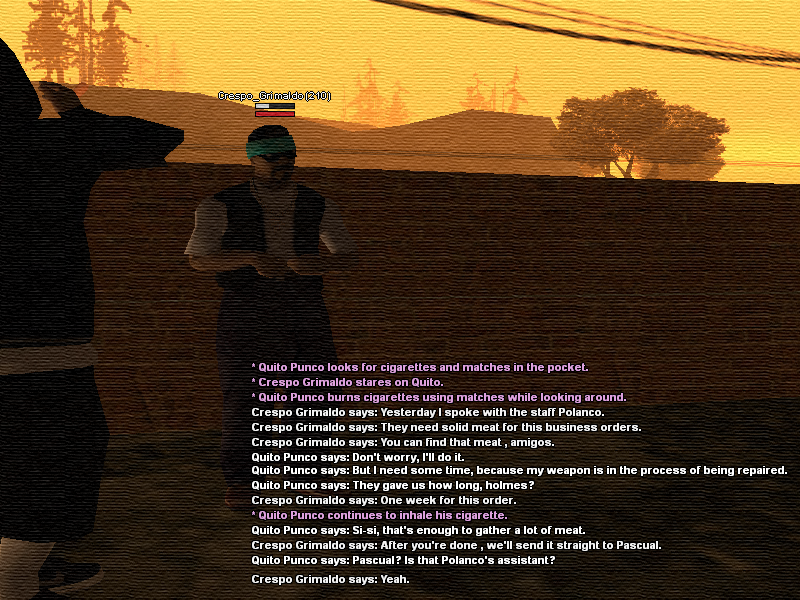 SS14.png