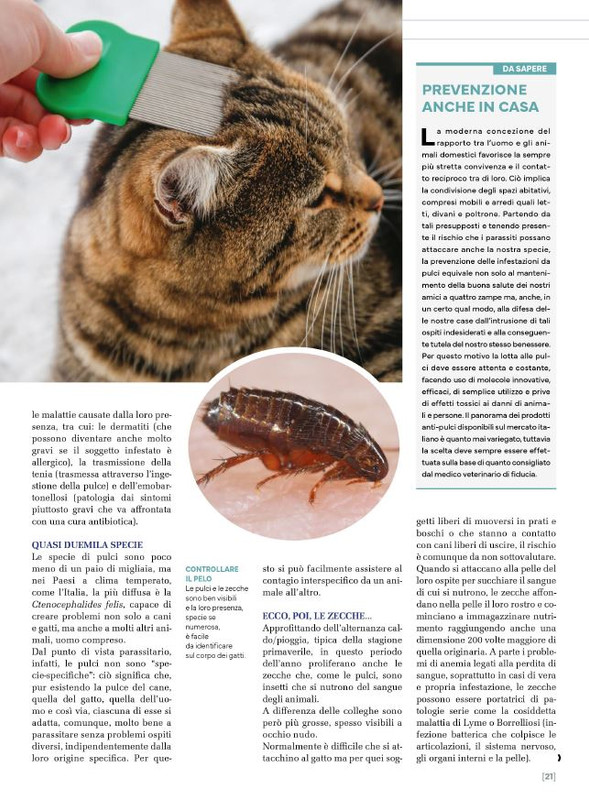 Ga Ma Apr-Mag 2025 (2)