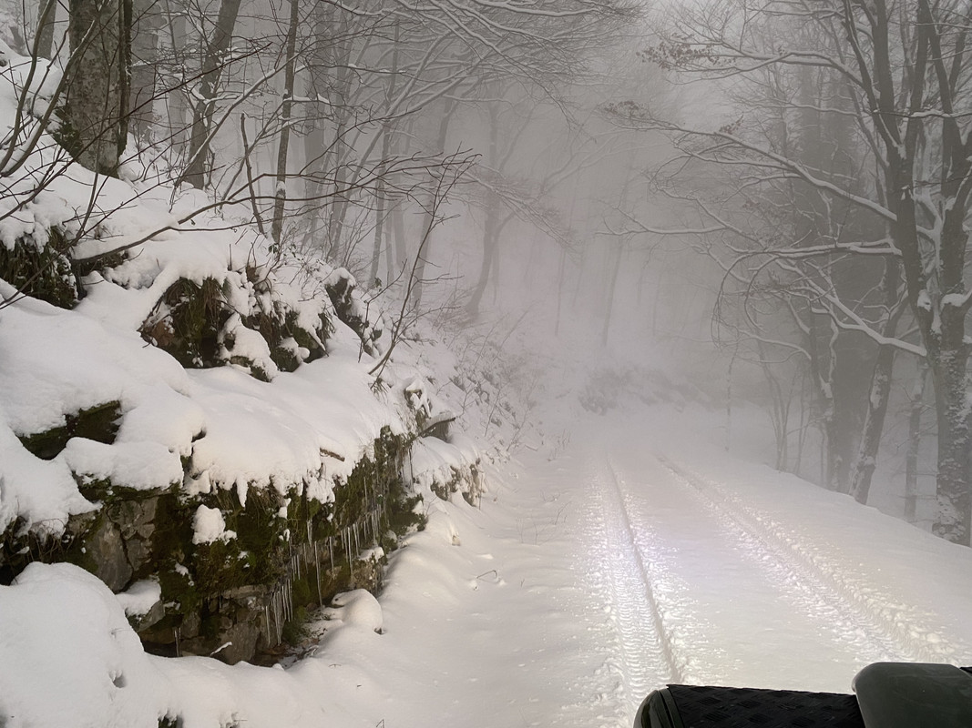 AA20AE69-F7F7-420C-ABAF-BFD7E5BEE559