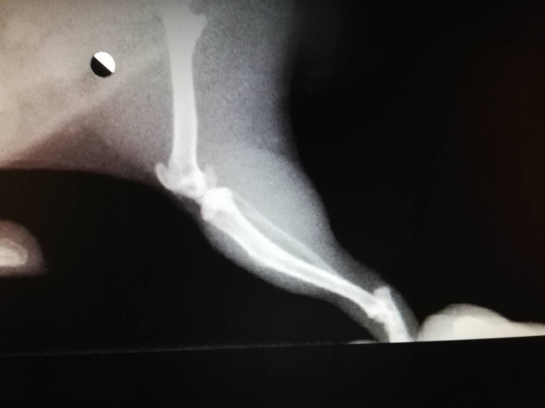 3873E7D9-7F7D-492D-8381-1544D354B787