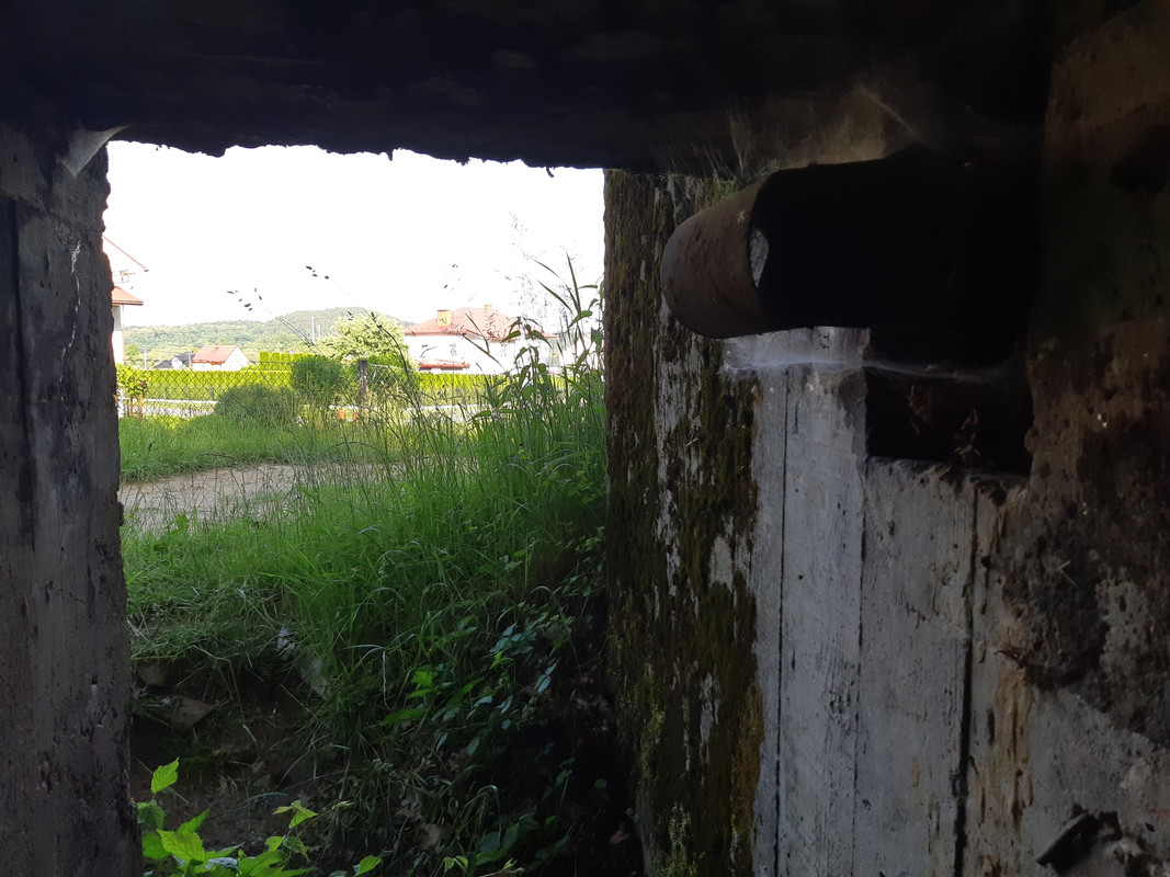 09.12e - 20220616_180635 (PiTT)