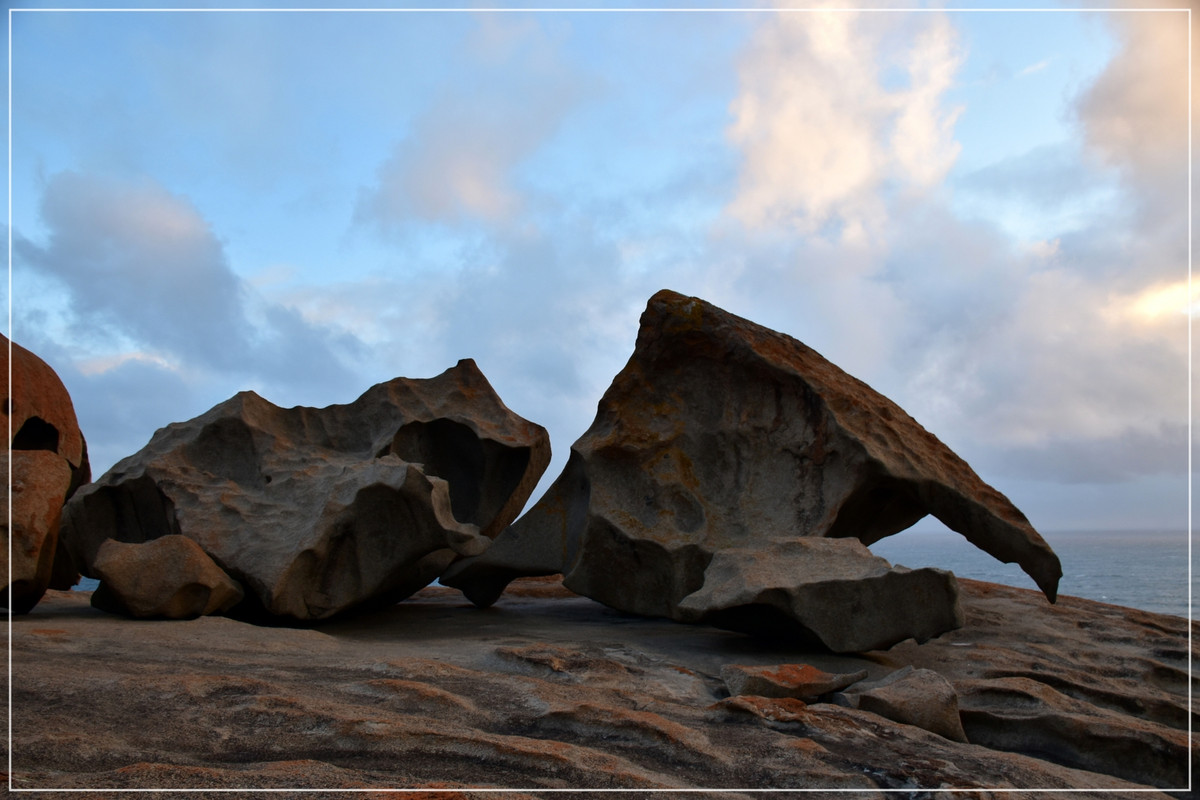 Australia (I): toma de contacto - Blogs de Australia - Kangaroo Island (21)