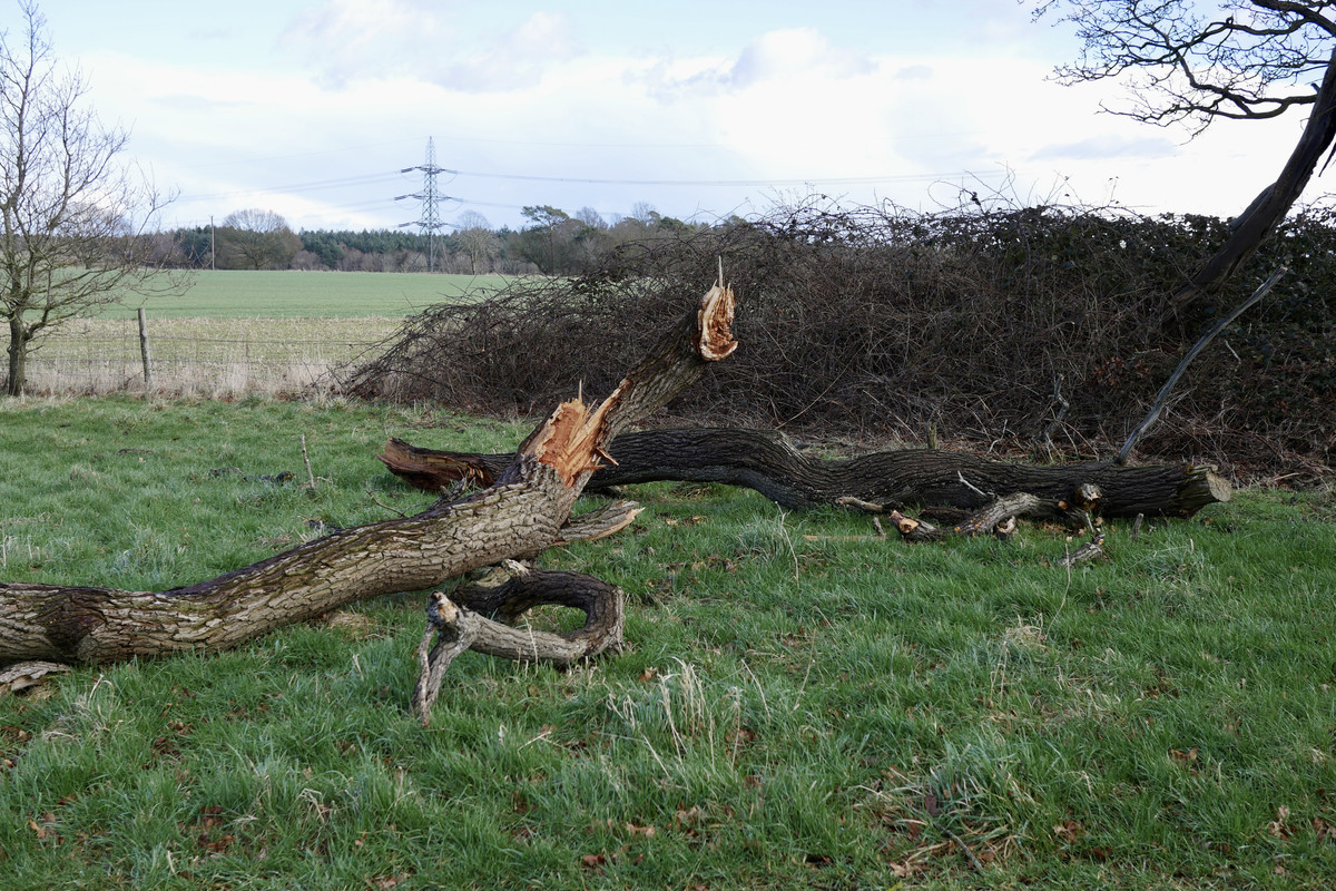 7B555832-E2DA-4817-90B1-D6ABE675FA34