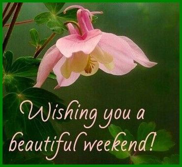 An den Beitrag angehängtes Bild: https://i.postimg.cc/hP1WLXXB/zaterdag.jpg