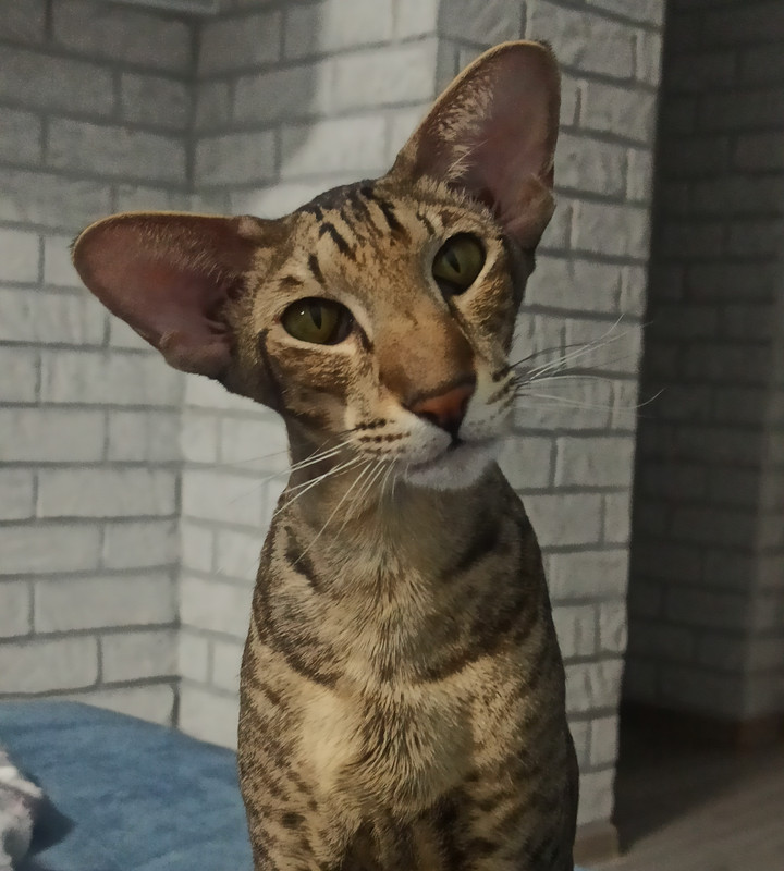 IMG_20221229_183901_695