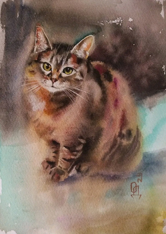 03