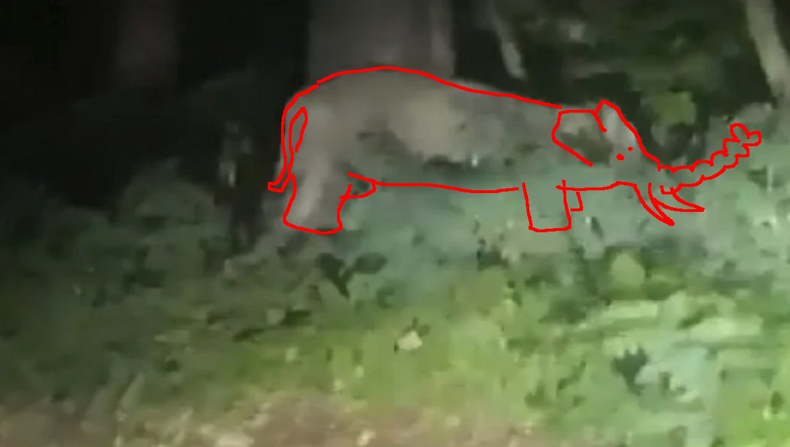 20230723-194055-CazaBotoh1-id5784736