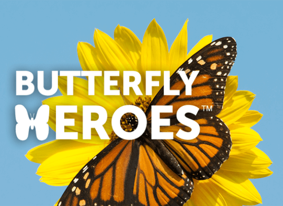 Get a Free Butterfly Garden Starter Kit to Help the Monarch Butterfly Get a Free Butterfly Garden Starter Kit to Help the Monarch Butterfly