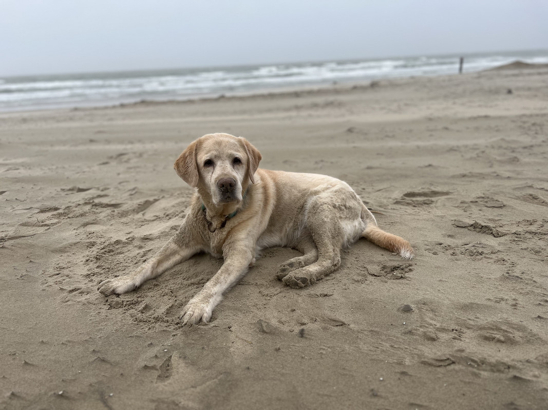 9705A5AB-3219-43D6-9E5B-9C3E85C51682