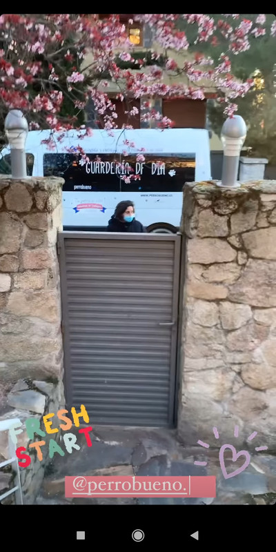 Screenshot_2021-03-15-12-37-36-032_com.instagram.android