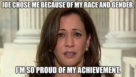 kamala-harris-chose-me-because-of-gender-and-race-so-proud-of-my-achievement.jpg