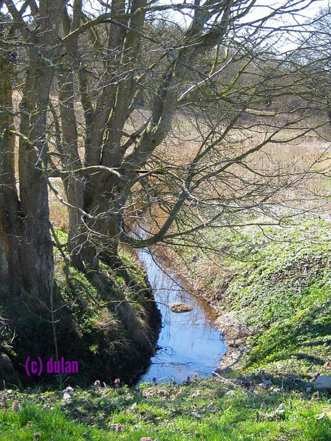 [Image: IMG_20250401_222917.jpg]