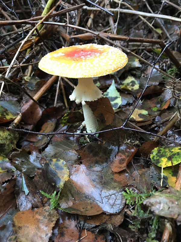 0427EDE2-1162-4F72-8F33-A1057FD49195