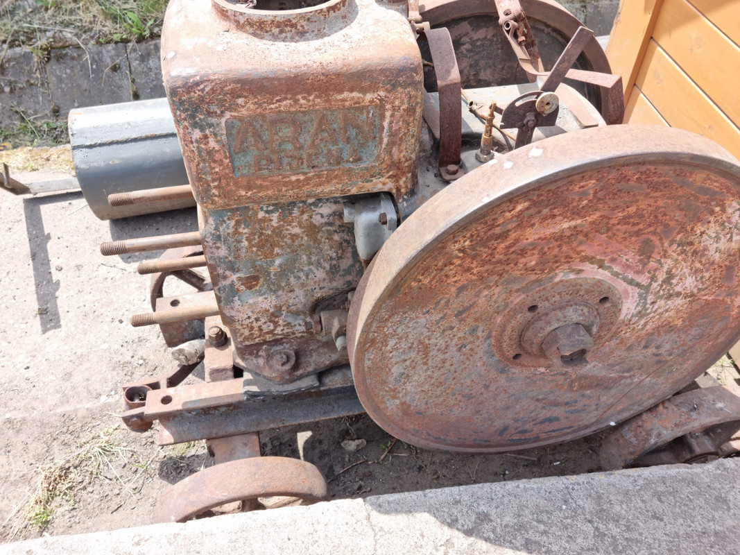 Zdjęcie WhatsApp 2023-06-19 o 14.29.33