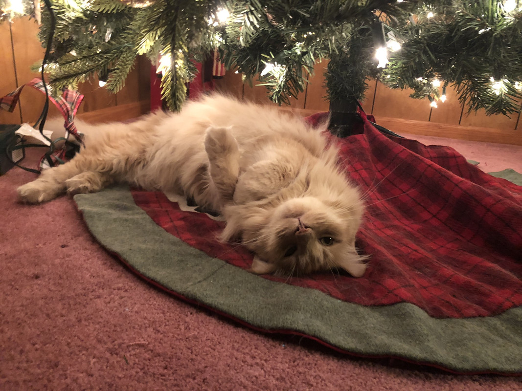 40C1CD10-13B6-4131-A36E-3B022A5D4BF6