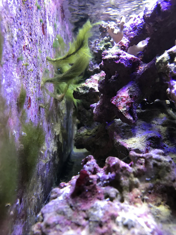 D0E1FA4F-31AB-48F6-835F-DDC4310C91BB