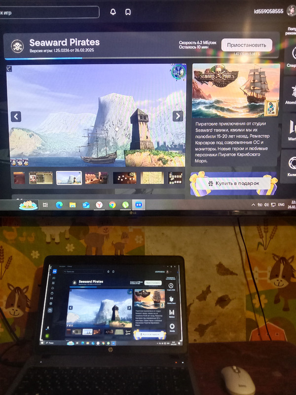 �����������