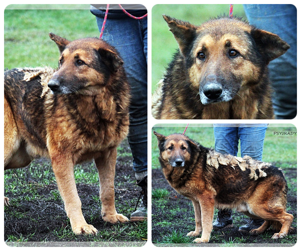 BeFunky-collage (23)