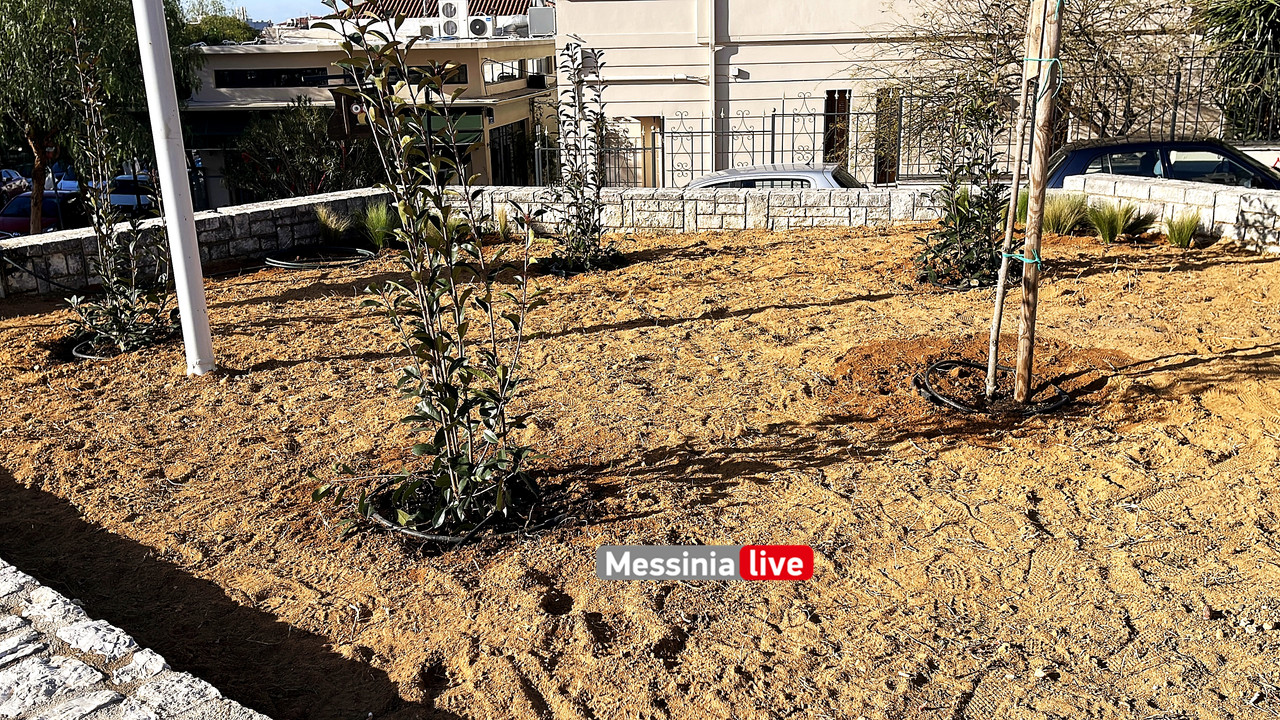 ΥΠΑΠΑΝΤΗ IMG_8506