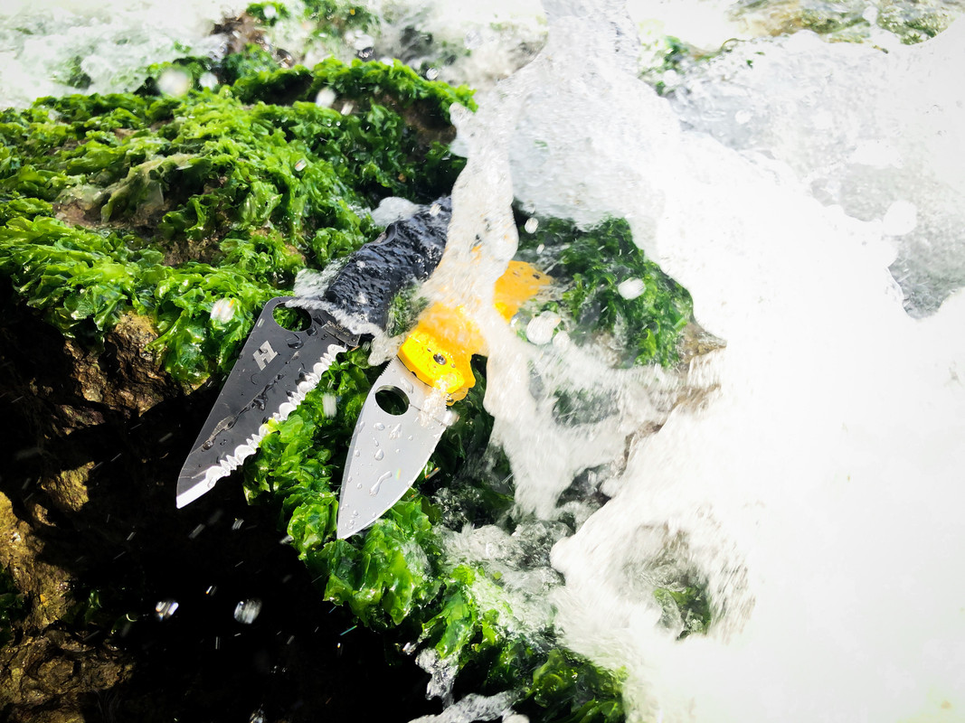 594C9049-C515-455C-A326-BA33AE05E9A3