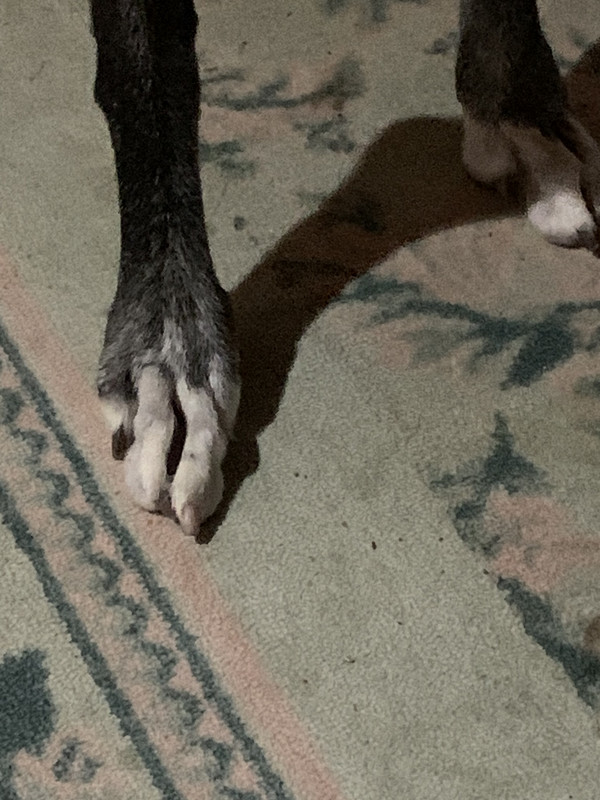 53A0408E-B382-4B9E-B46E-C6591266E13D