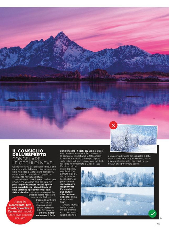 P Pro Gen-Feb 2022 (4)