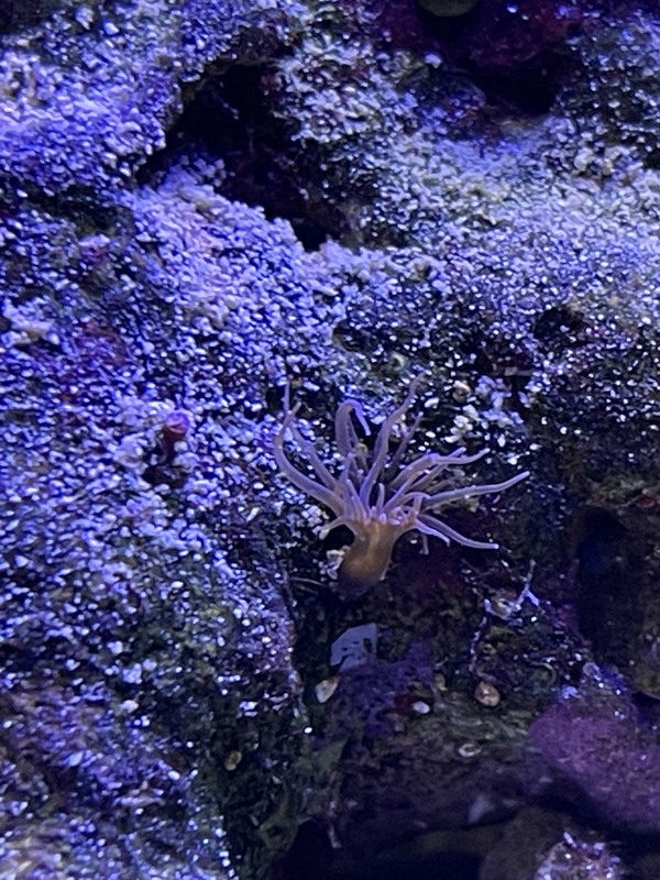 7FF5E1CF-34E9-4242-B676-9D5D3DEF7B4D