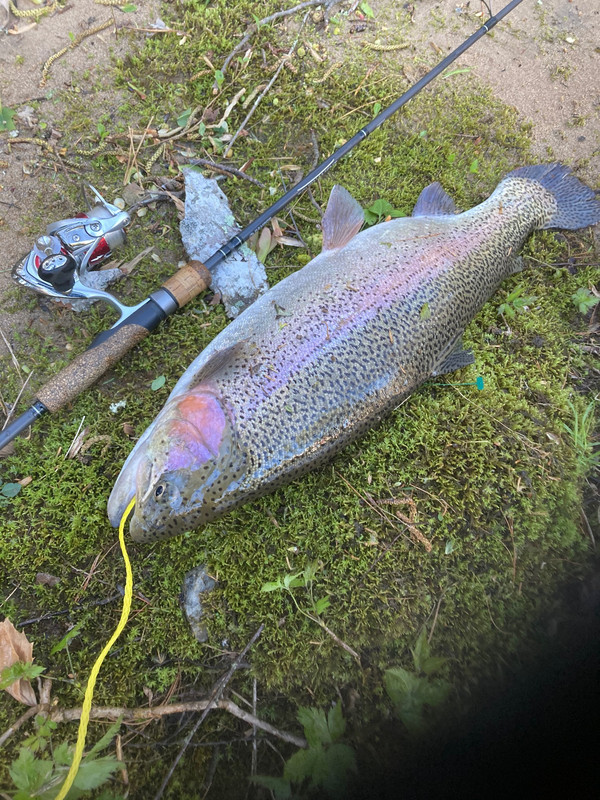 63914860659__18243421-1D2D-478F-96A5-8F903699386B