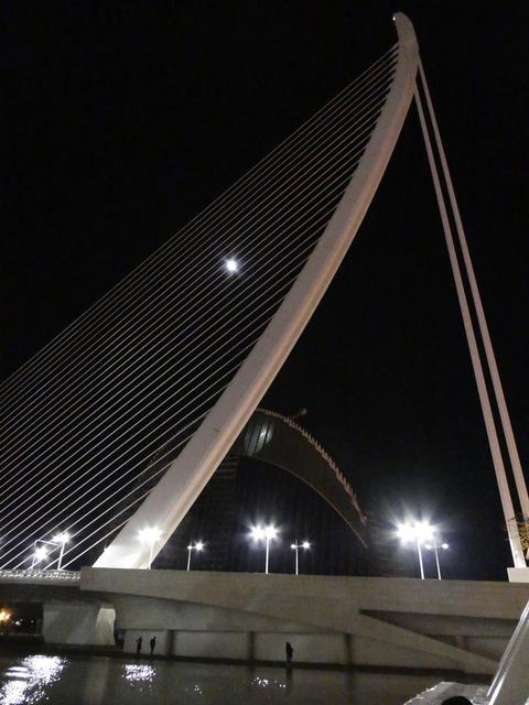 VALENCIA en un fin de semana - Blogs of Spain - Sábado 30/12: Llegada a Valencia y visita al Oceanogràfic (33)
