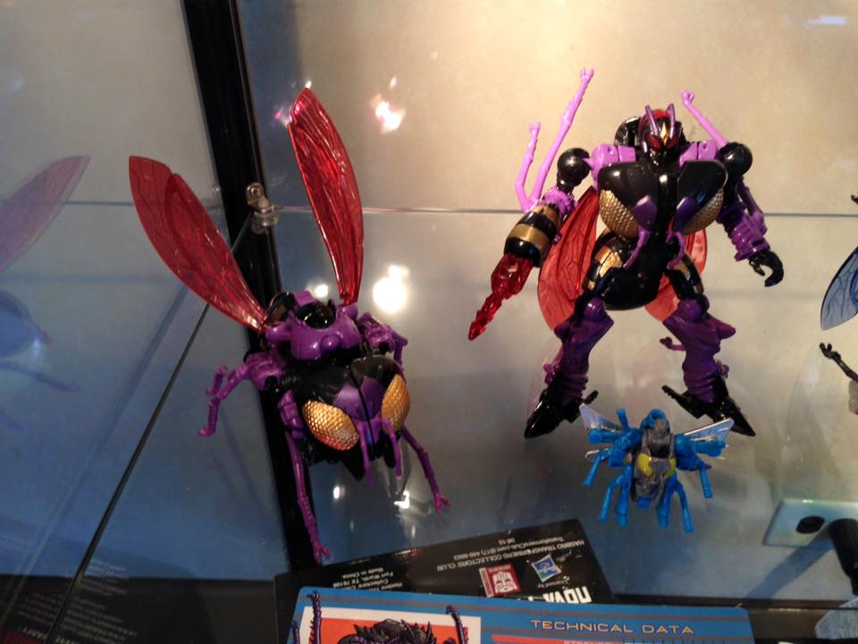 11057941_995665953807197_3585217208649204818_n