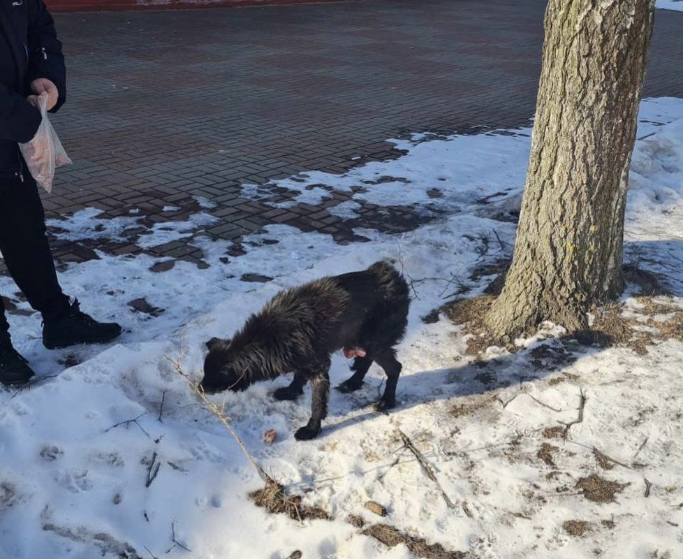 728EA514-71A1-4256-A4D0-62DAAFA0C43C