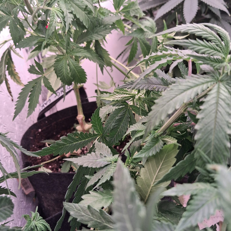 Whats App Image 2026 01 05 at 12 37 47 (1)