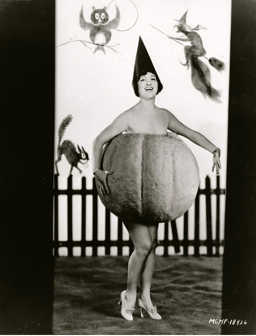http://img15.hostingpics.net/pics/961031halloweenjuliafaye.png