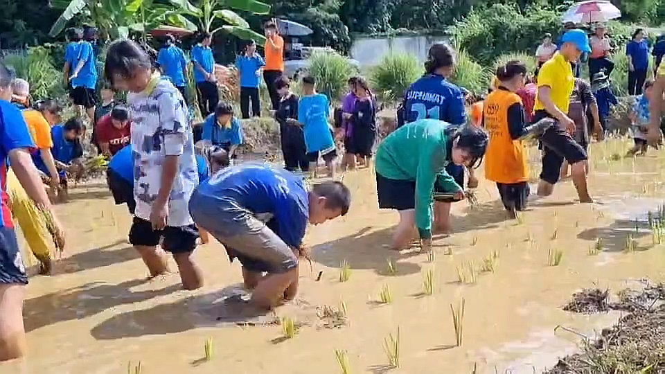 vlcsnap-2025-08-26-15h20m56s772