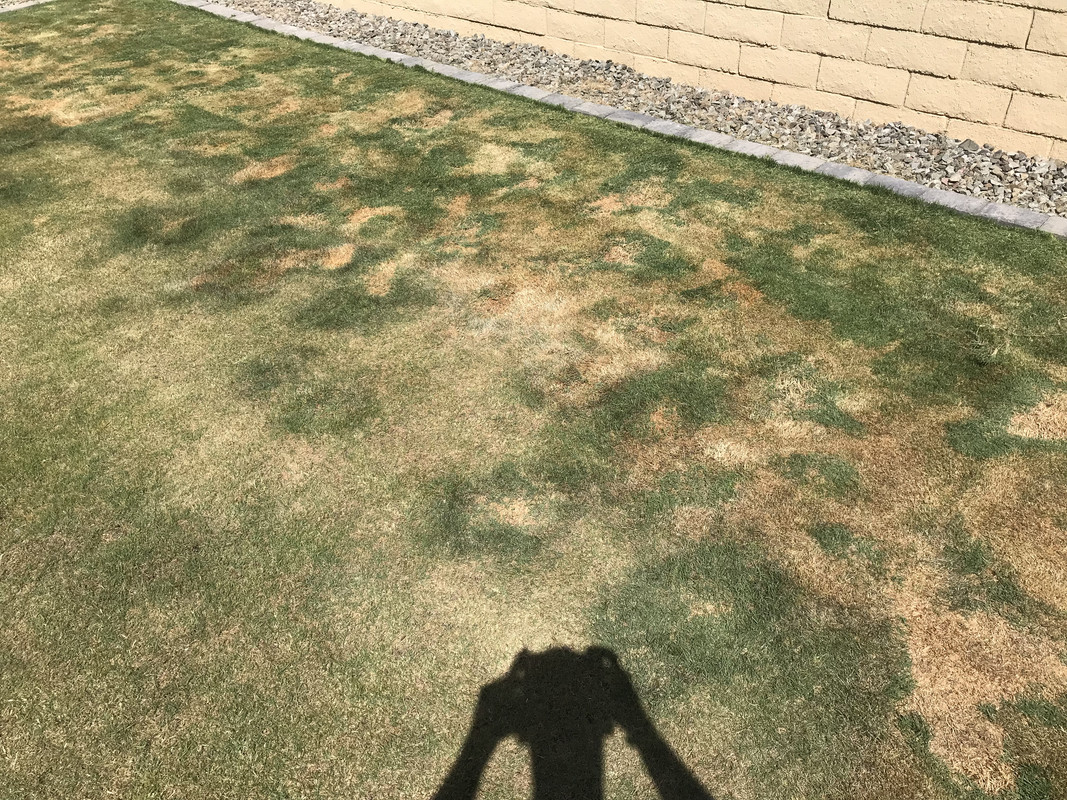 18D2F624-BCCF-4A16-B0BB-42EF4875A469