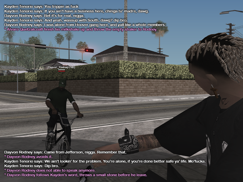 SS3.png