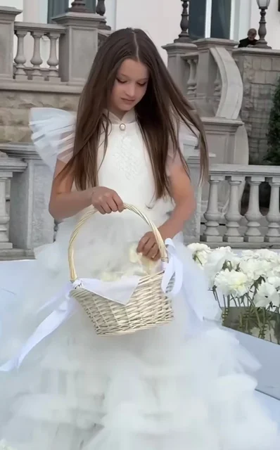 https://i.postimg.cc/hP5dWwB8/wr-750.webp