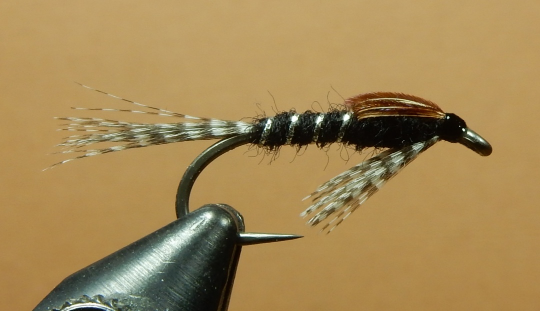 Doc-Spratley-Nymph-2-1080.jpg