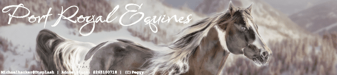 Untitled220_20250116013607_optimized