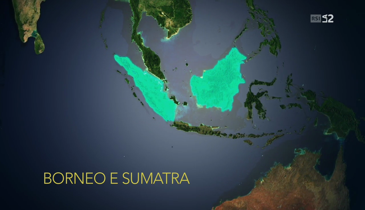 vlcsnap-2016-12-11-08h24m37s981