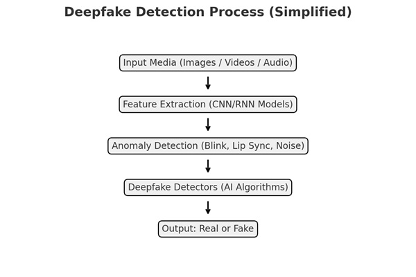 Deepfake Detection Process