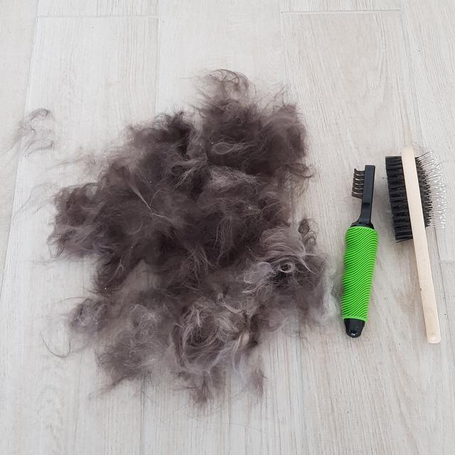 20190311-124542.jpg