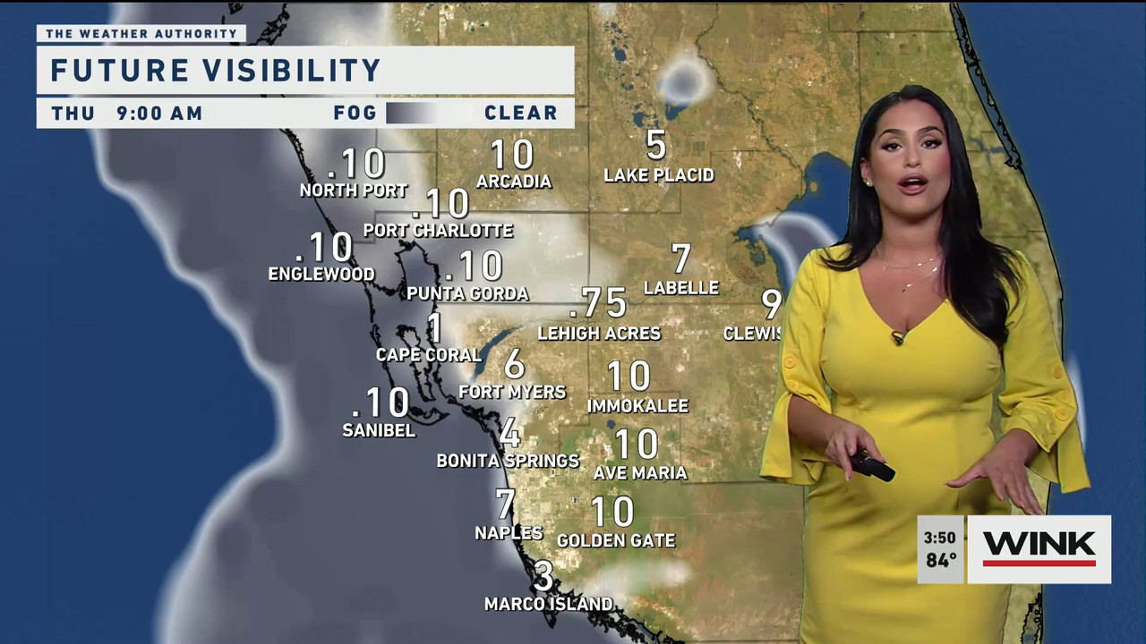 02.01 - 20.00.00 - WINK News at 3pm  ᴺᵉʷ..ts_snapshot_00.57.04.022